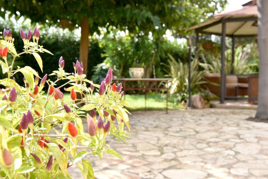 B&B Villa Anastasia Club Mesagne Exterior foto
